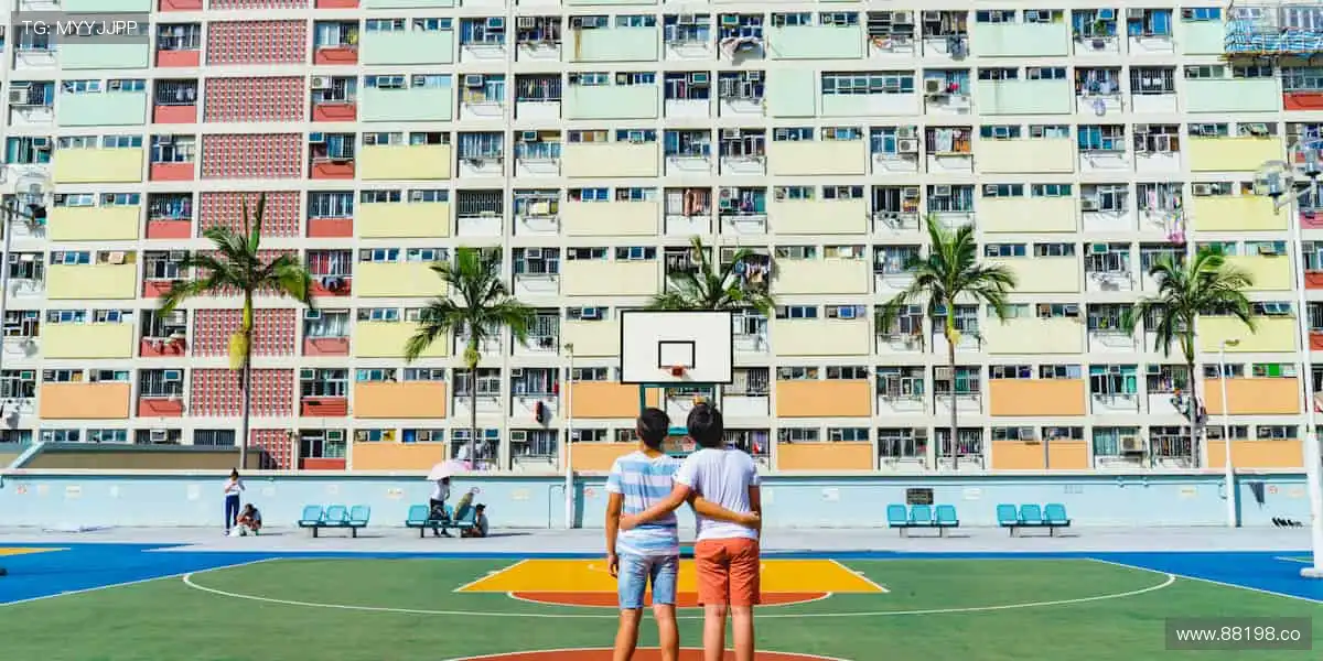 🚴 速度激情，赛道争锋！🏆